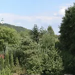 Sofia